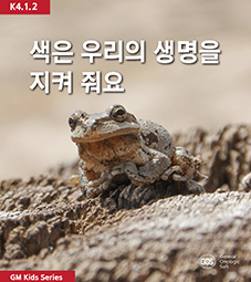 색은 우리의 생명을 지켜 줘요