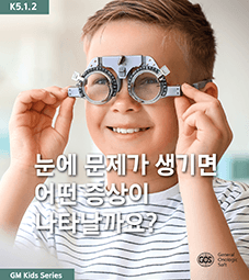 눈에 문제가 생기면 어떤 증상이 나타날까요?